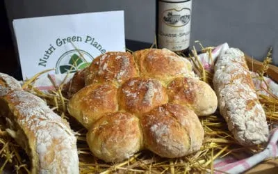 Recette de petits pains aux insectes