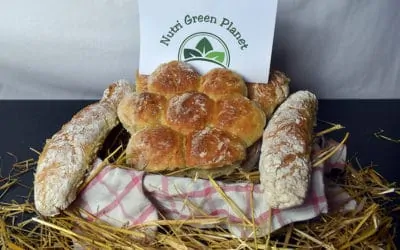 Recette de petits pains blancs