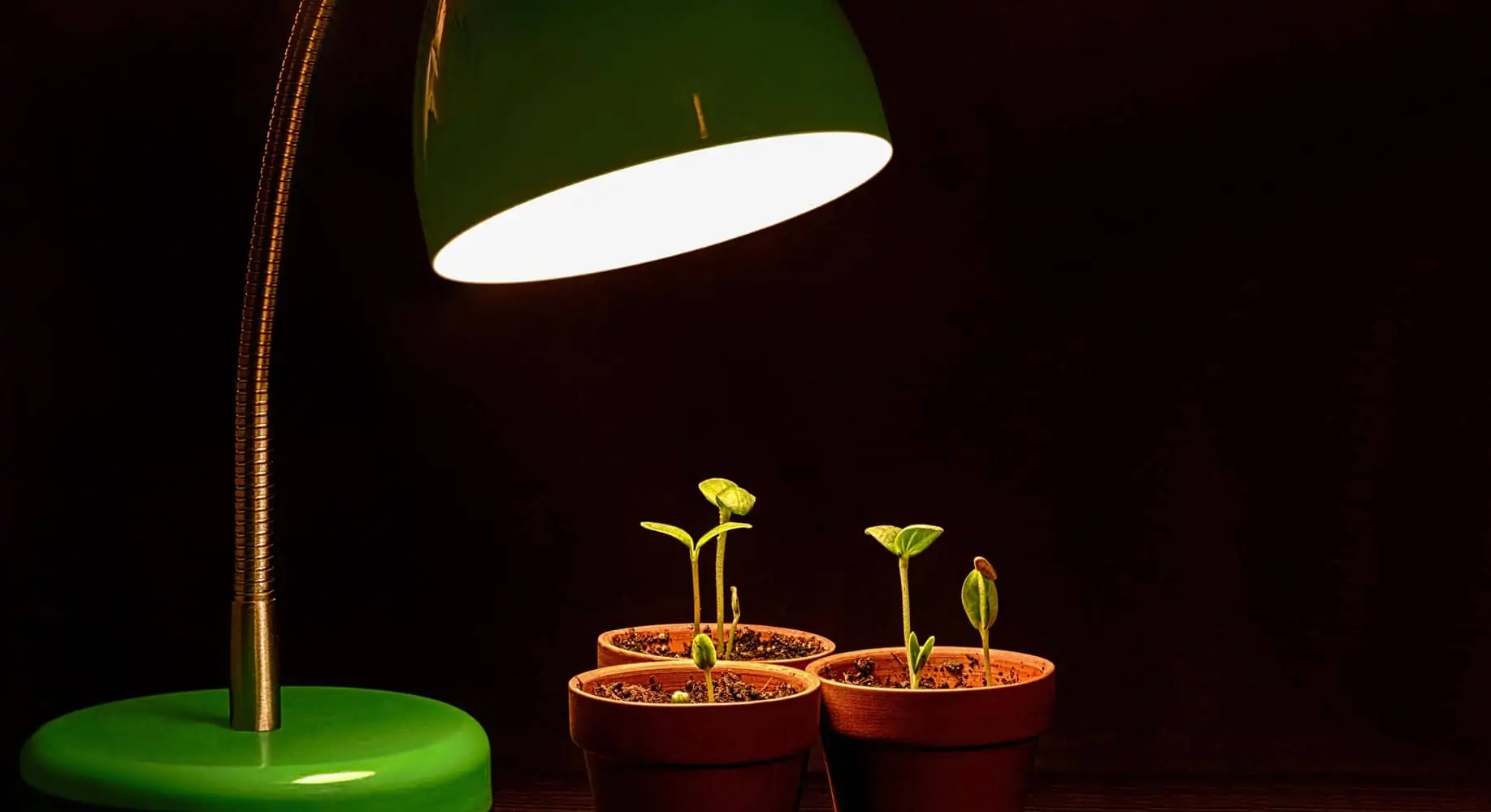 Lumière de croissance pour plantes (Nutri Green Planet)