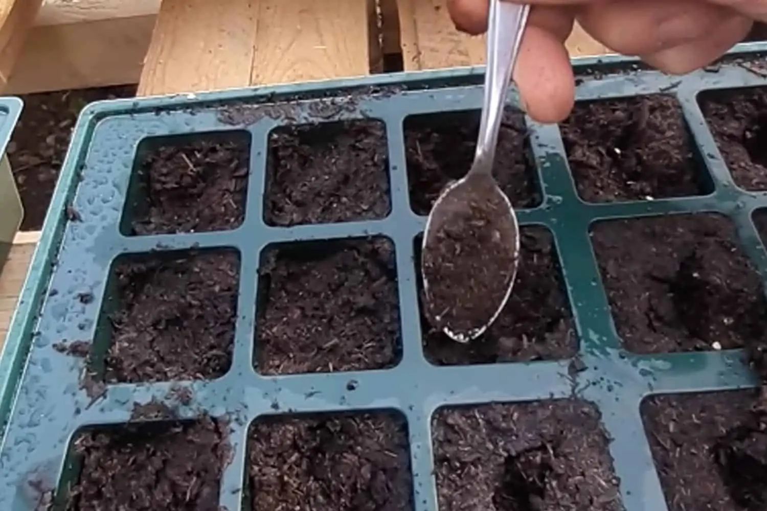 Tasser les graines des semis (Nutri Green Planet)
