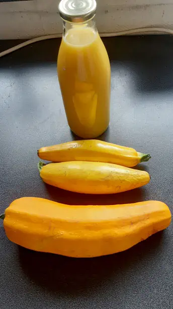 Courgettes jaunes - NutriGreenPlanet